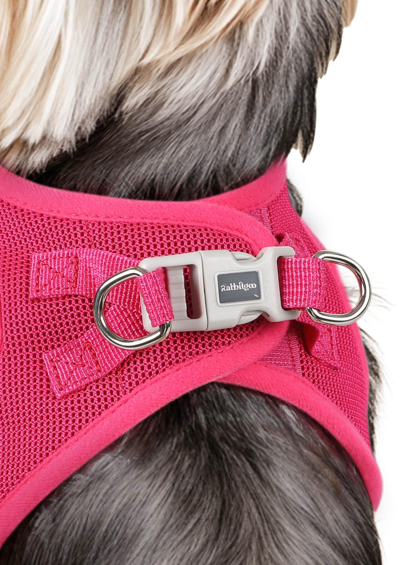 Minifit Small Dog Harness and Leash Set