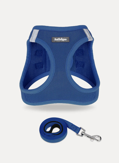 Minifit Small Dog Harness and Leash Set