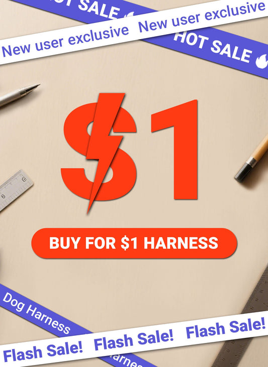 FLASH SALE: Easy Walk Dog Harness