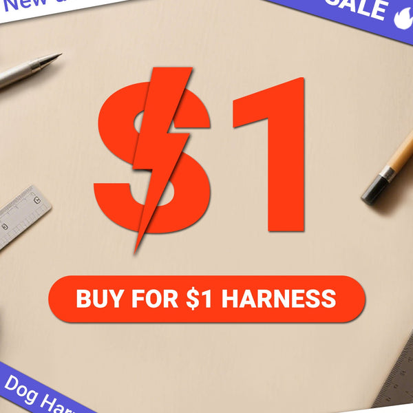 FLASH SALE: ColorPop Fit No Pull Dog Harness