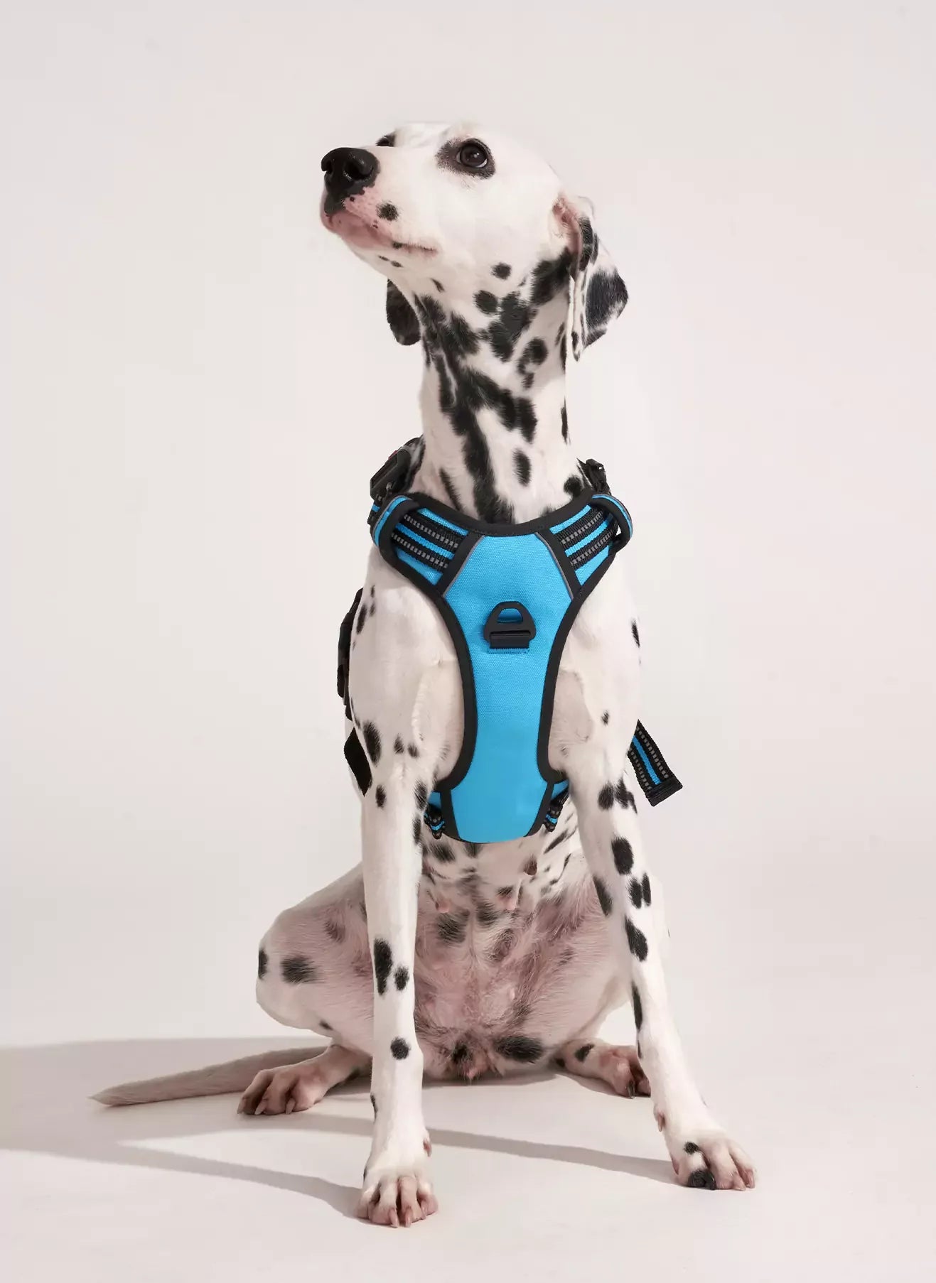 Uplift Pro Adjustable Dog Harness with Neck Buckle-2 #Blue
