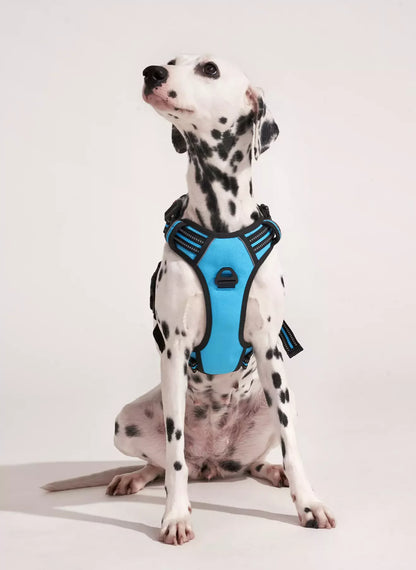 Uplift Pro Adjustable Dog Harness with Neck Buckle-2 #Blue