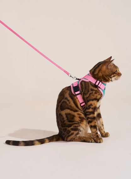Rabbitgoo Fusion Adjustable cat harness and leash set