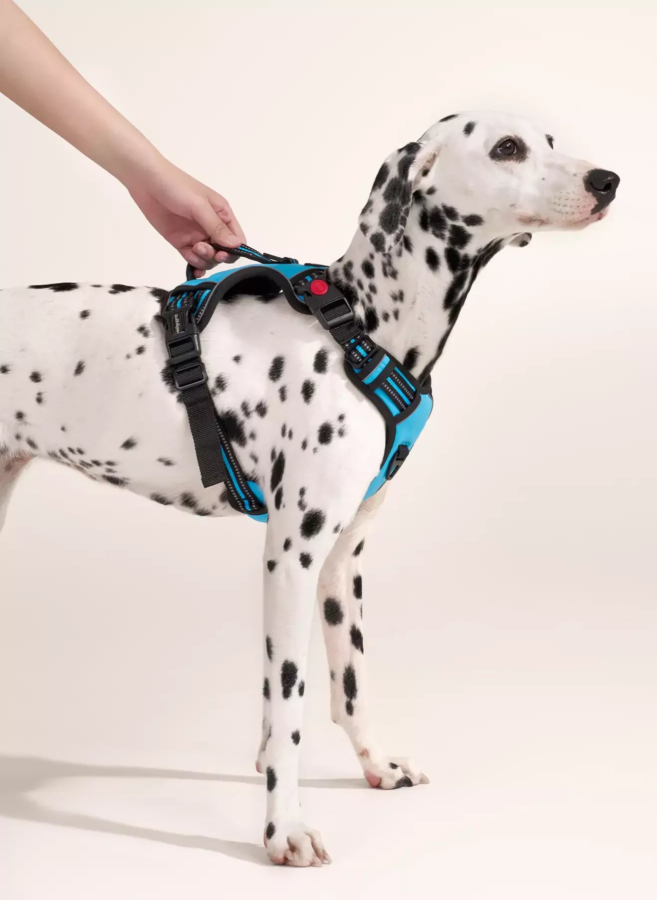 Uplift Pro Adjustable Dog Harness with Neck Buckle-4 #Blue