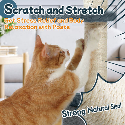 Rabbitgoo  33" Cat Tree for Indoor Kittens