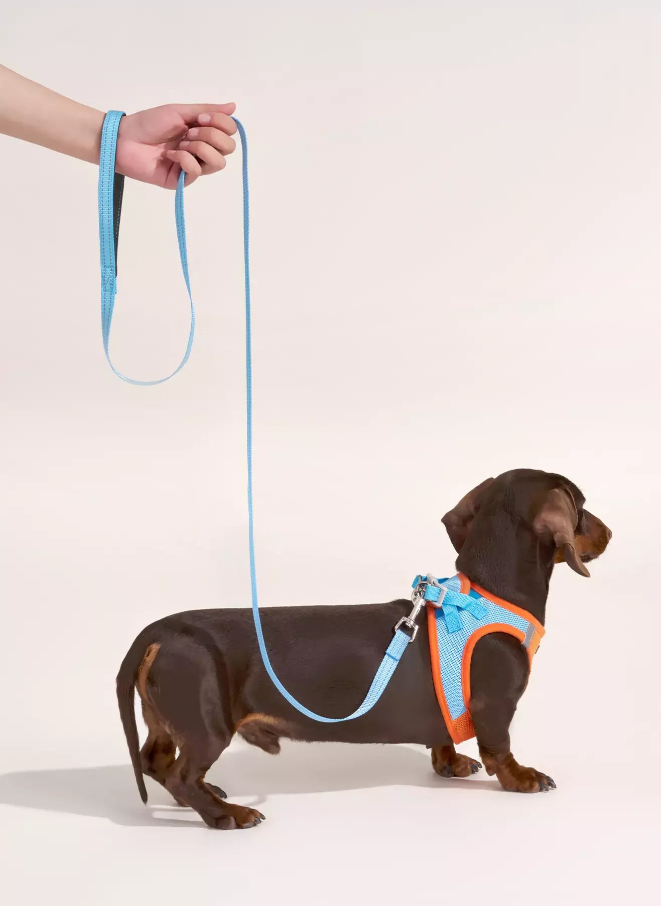 Minifit Small Dog Harness and Leash Set