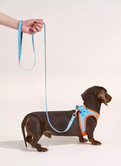 Minifit Small Dog Harness and Leash Set