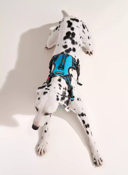 Uplift Pro Adjustable Dog Harness with Neck Buckle-3 #Blue