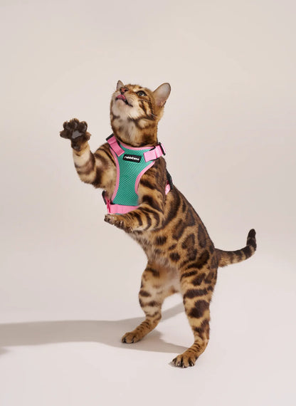 Rabbitgoo Fusion Adjustable cat harness and leash set