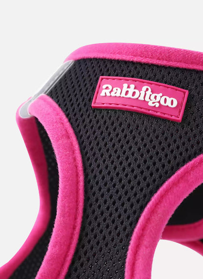 Minifit Small Dog Harness and Leash Set