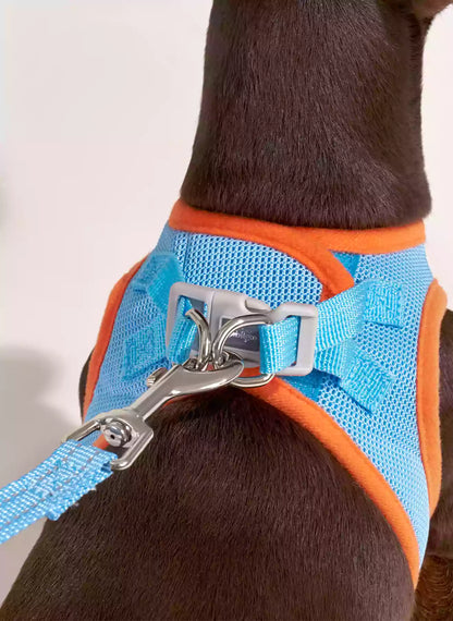 Minifit Small Dog Harness and Leash Set