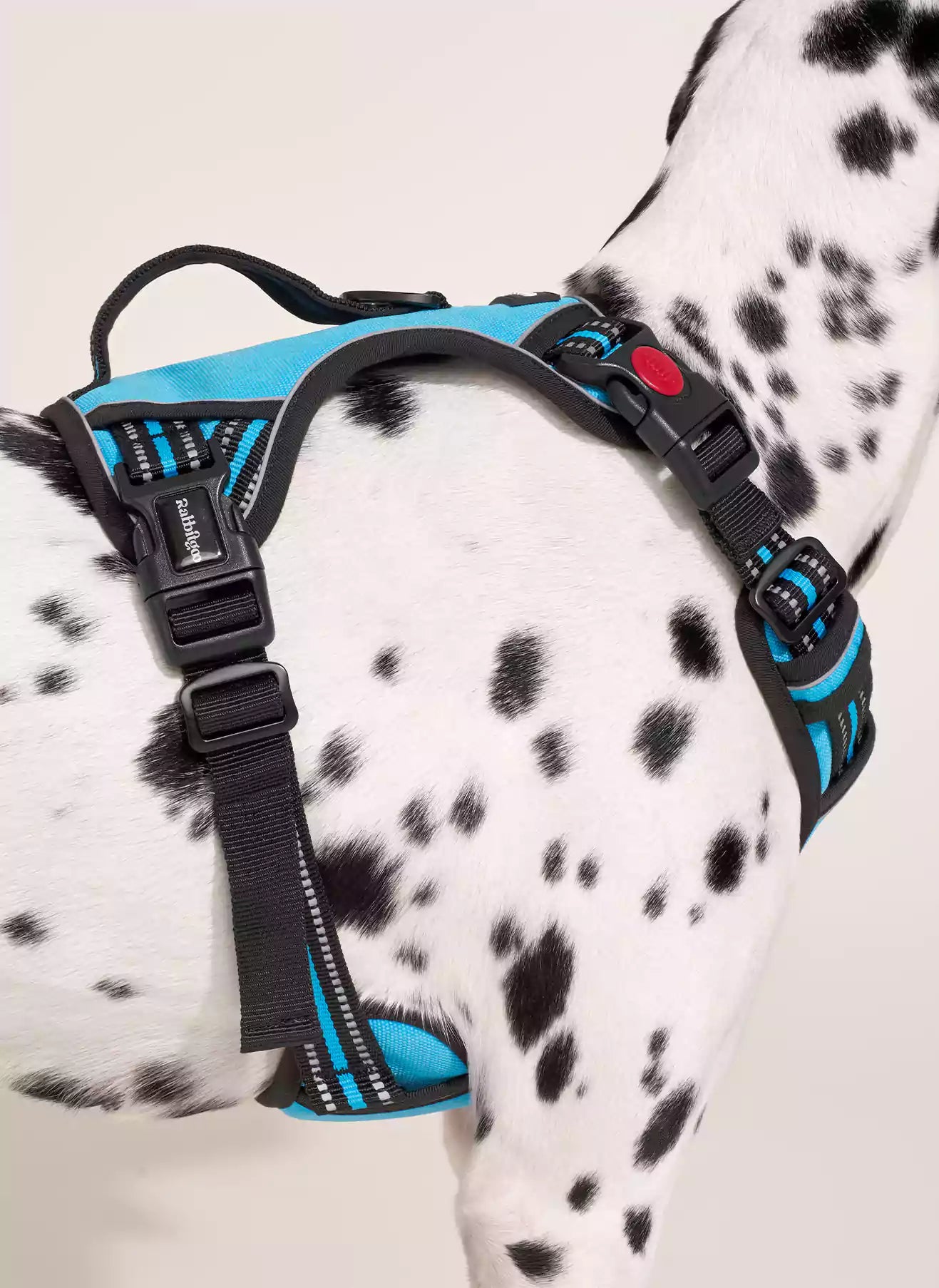 Uplift Pro Adjustable Dog Harness with Neck Buckle-6 #Blue