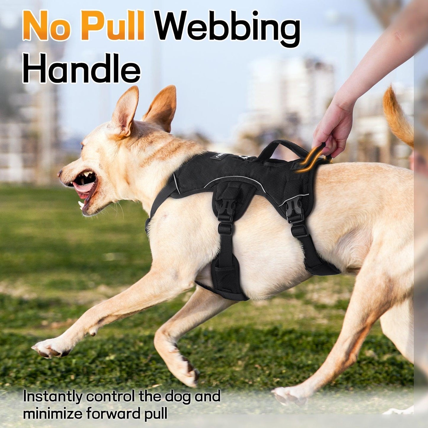 Lift Assist Large Dog Harness with Handle