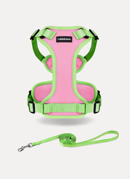 Rabbitgoo Fusion Adjustable cat harness and leash set