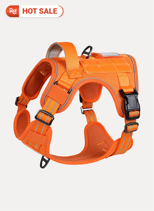 ColorPop Escape Proof Tactical Dog Harness