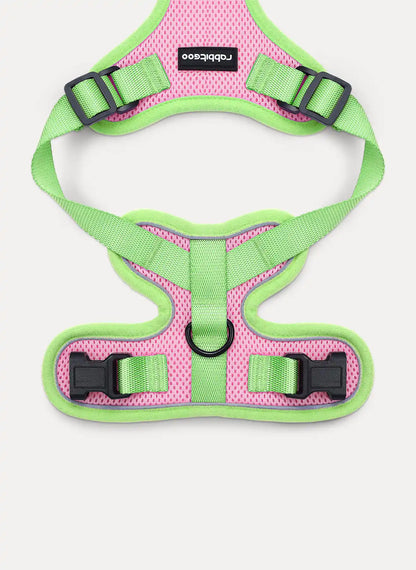 Rabbitgoo Fusion Adjustable cat harness and leash set