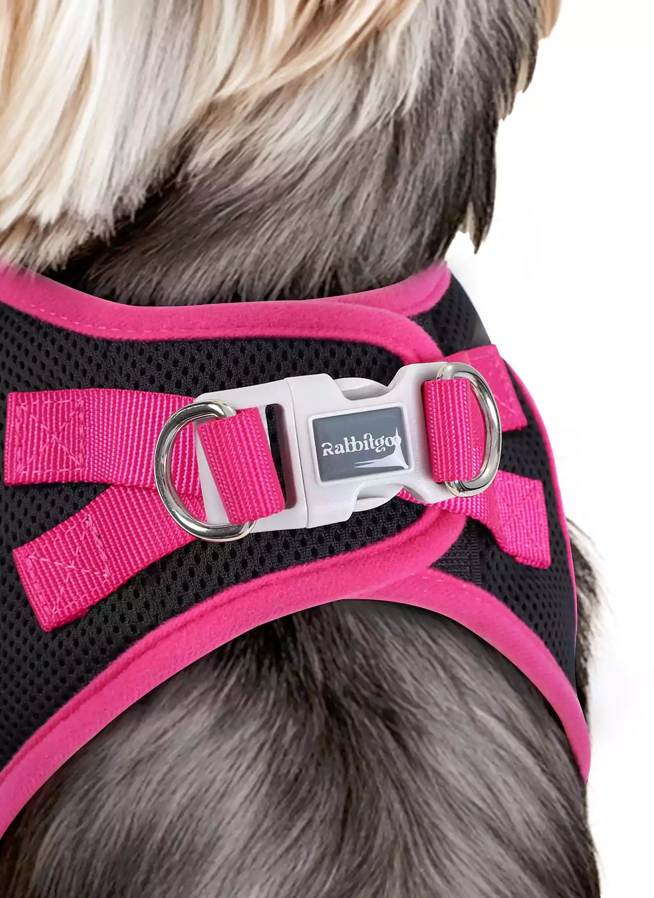 Minifit Small Dog Harness and Leash Set