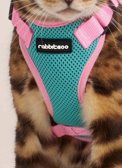 Rabbitgoo Fusion Adjustable cat harness and leash set