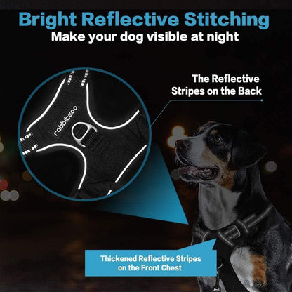 No Pull Dog Harness and Leash Set