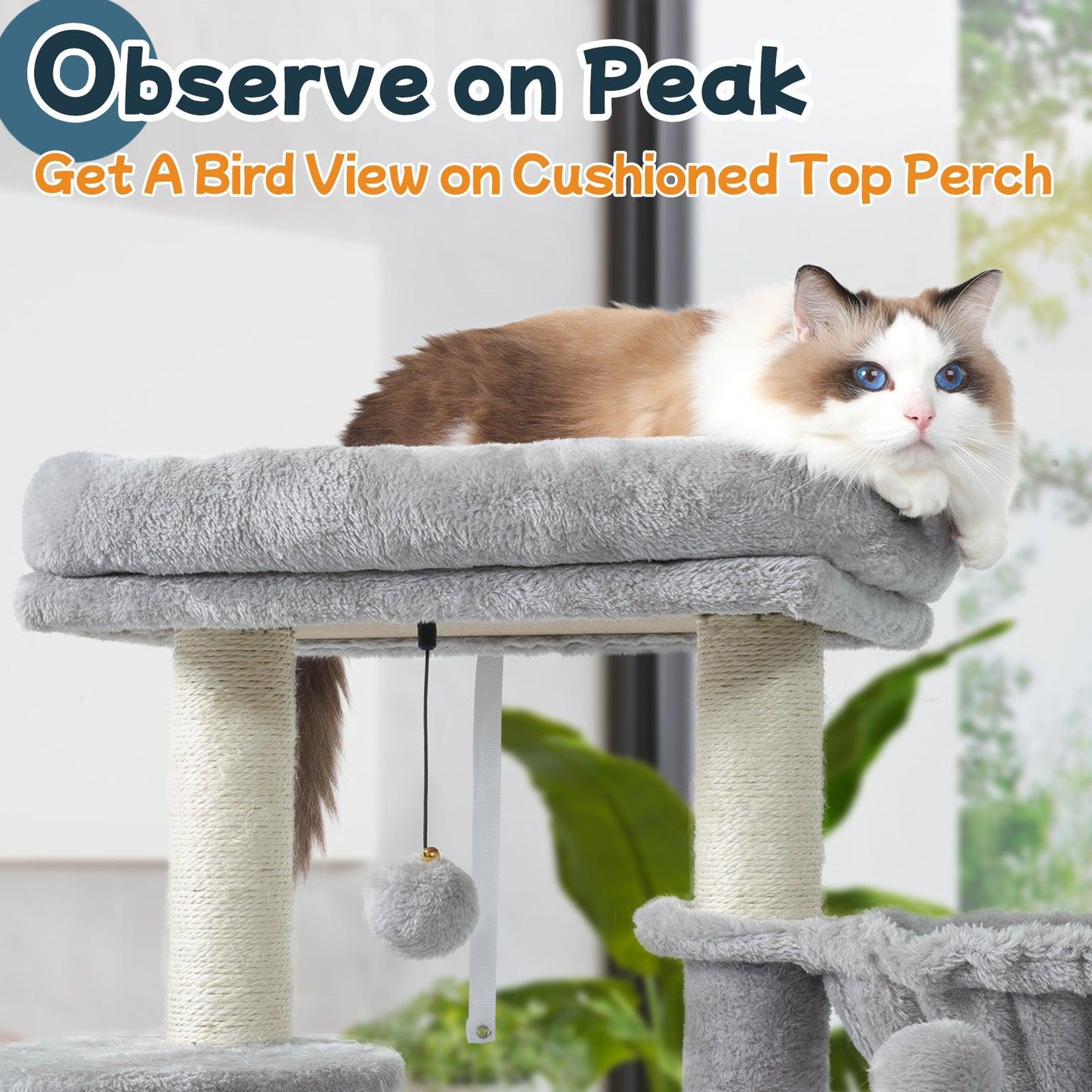 Rabbitgoo  33" Cat Tree for Indoor Kittens