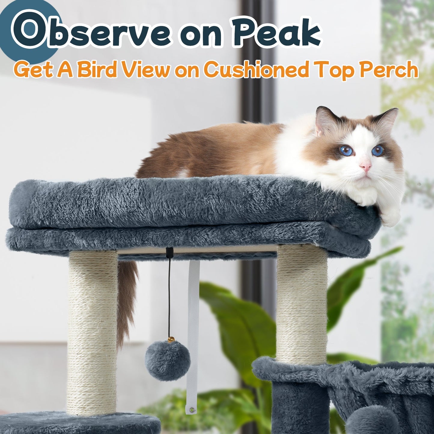 Rabbitgoo  33" Cat Tree for Indoor Kittens