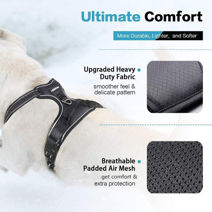 No Pull Dog Harness and Leash Set