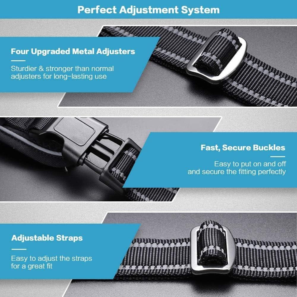 No Pull Dog Harness and Leash Set