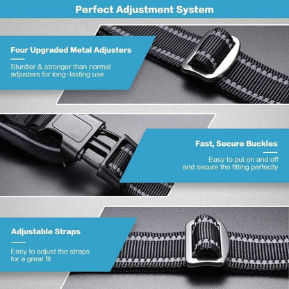 No Pull Dog Harness and Leash Set