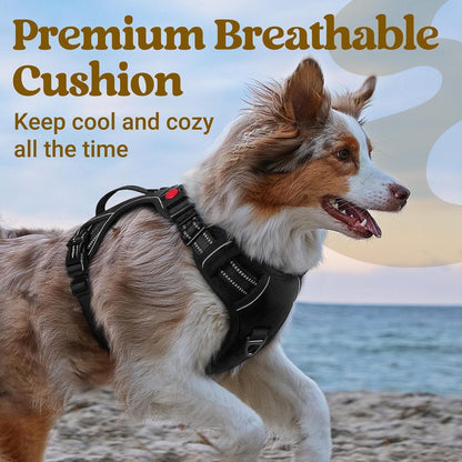 Uplift Pro Adjustable Dog Harness with Neck Buckle-6 #Black