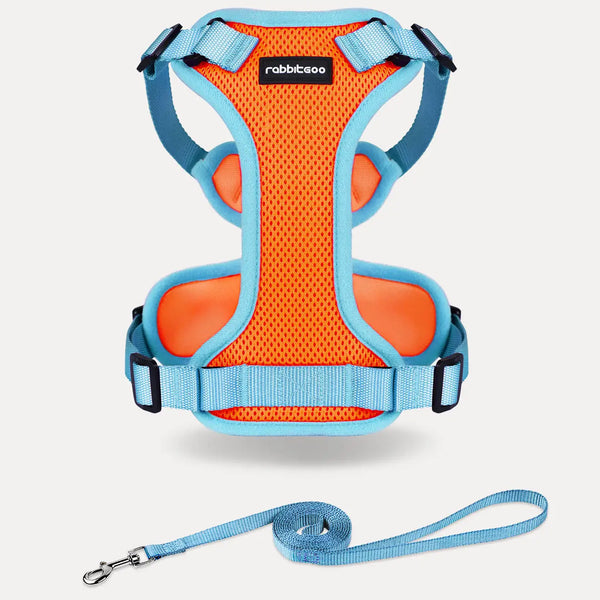 Rabbitgoo Fusion Adjustable cat harness and leash set