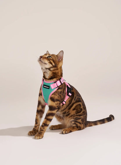 Rabbitgoo Fusion Adjustable cat harness and leash set