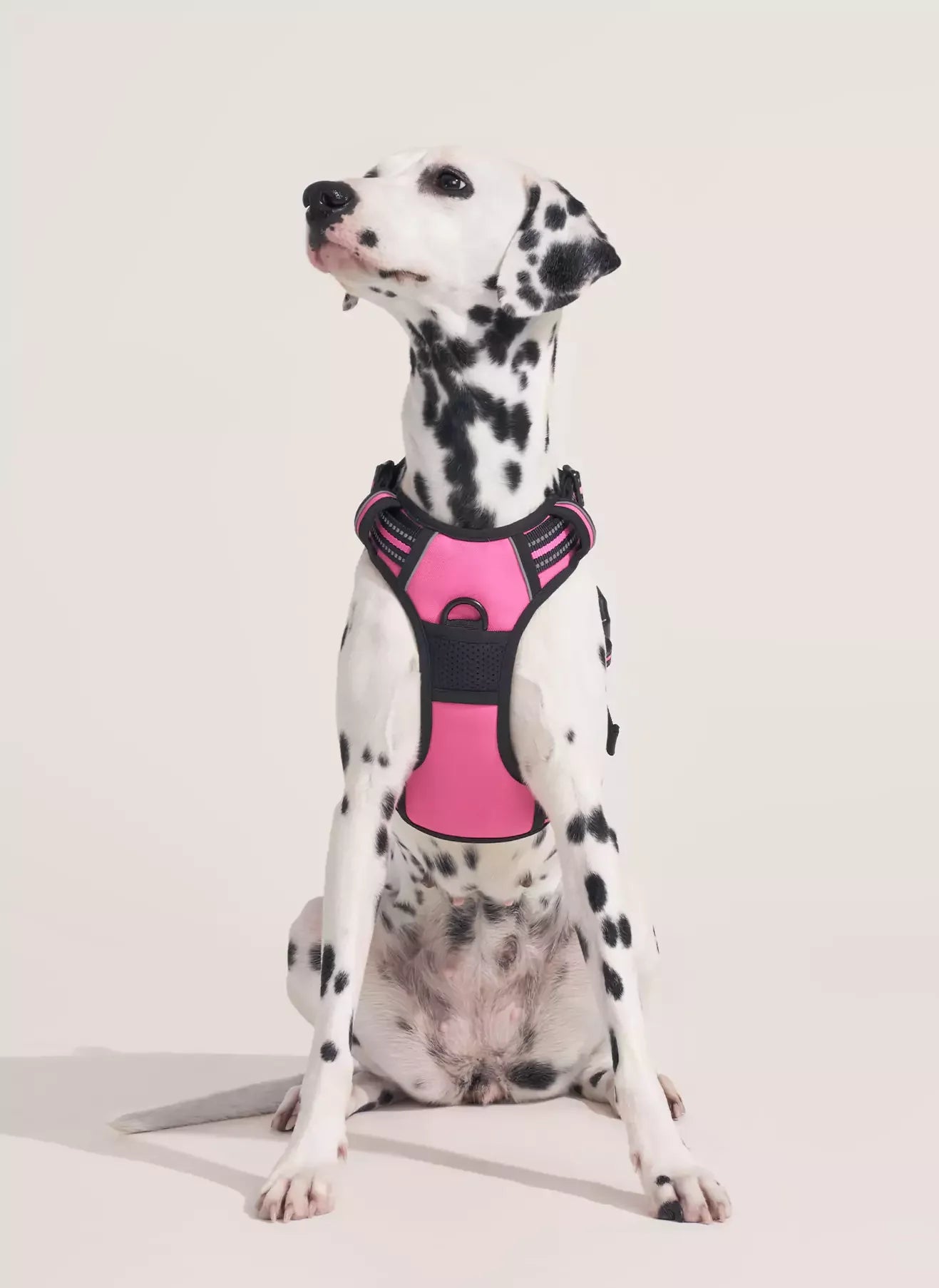 Classic Fit No Pull Dog Harness
