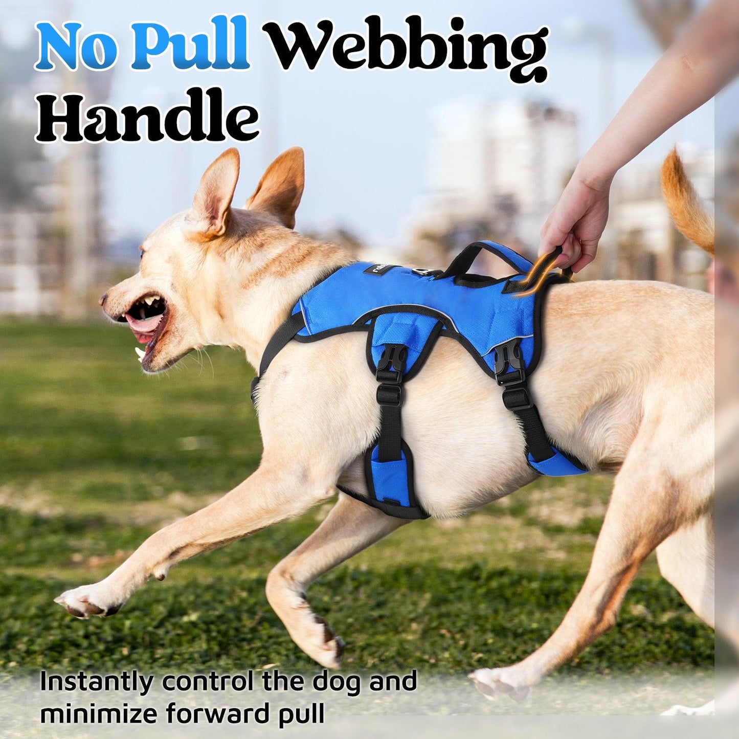 Lift Assist Large Dog Harness with Handle