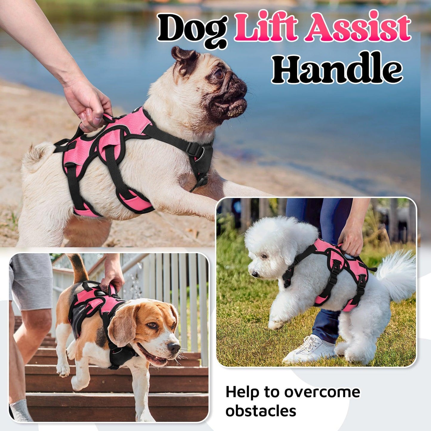 Lift Assist Large Dog Harness with Handle