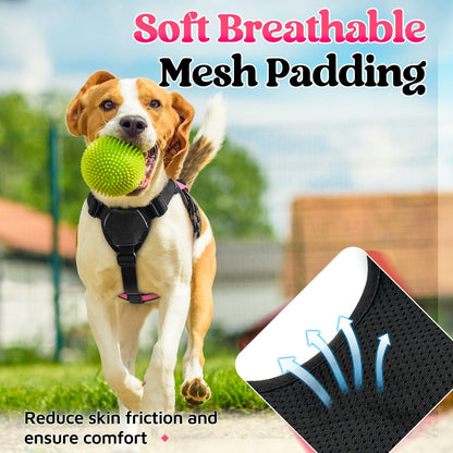 Lift Assist Large Dog Harness with Handle