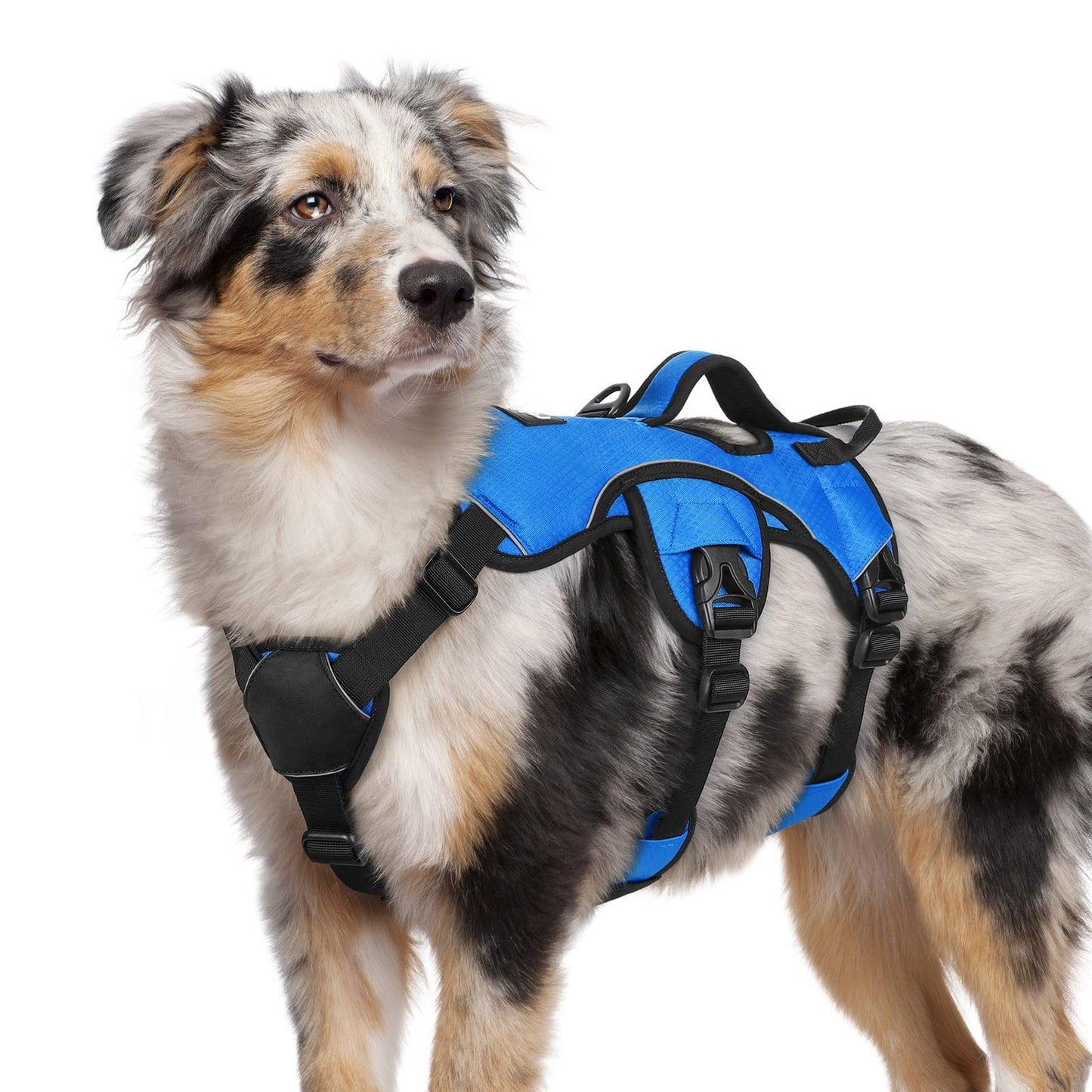 Lift Assist Large Dog Harness with Handle