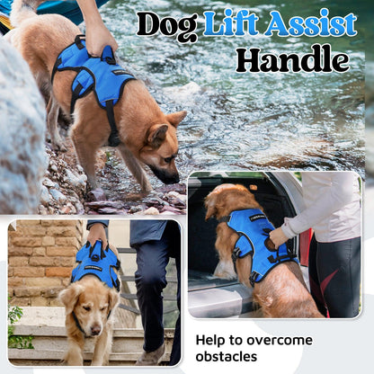 Lift Assist Large Dog Harness with Handle