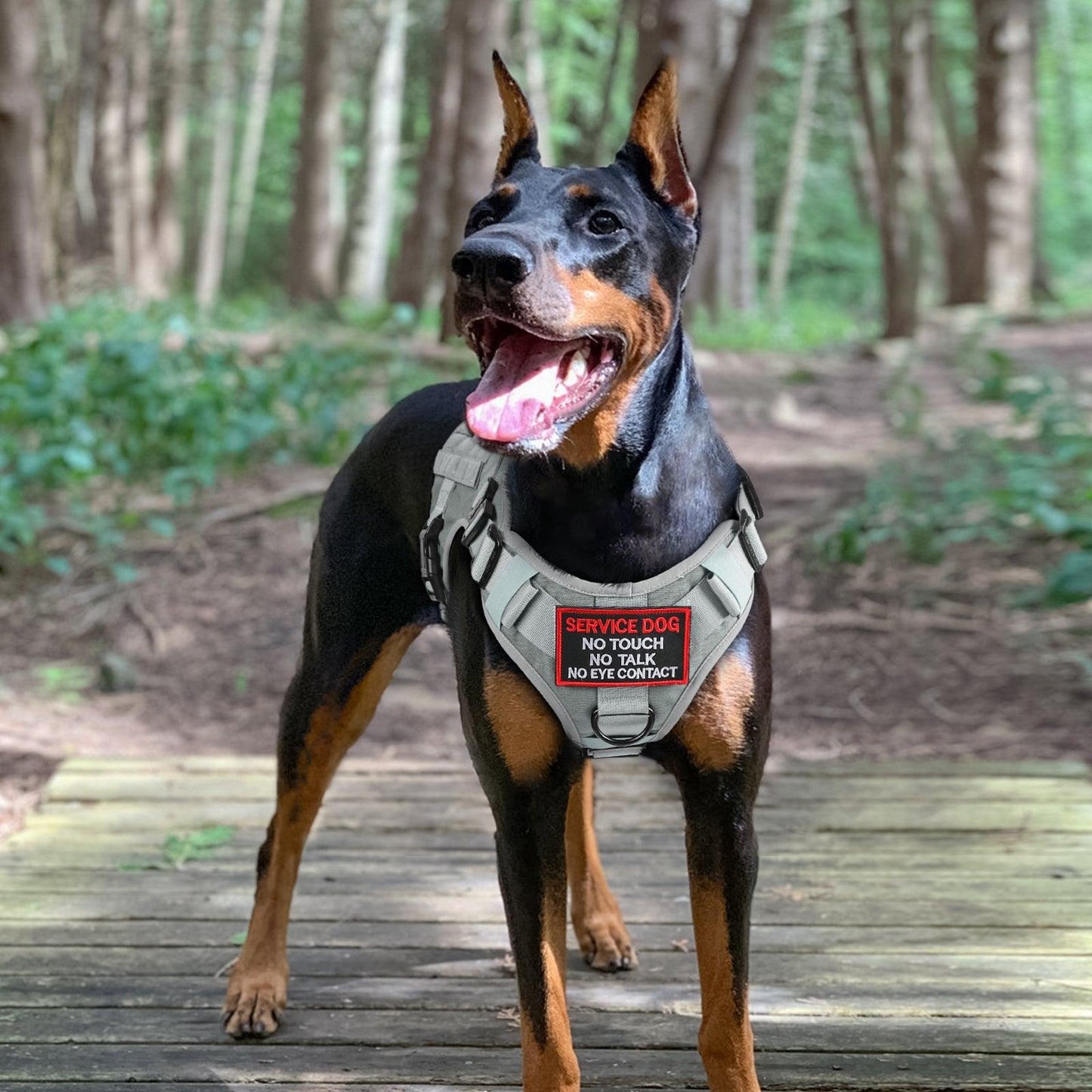 PAWTRENDER Mega Tactical Dog Harness
