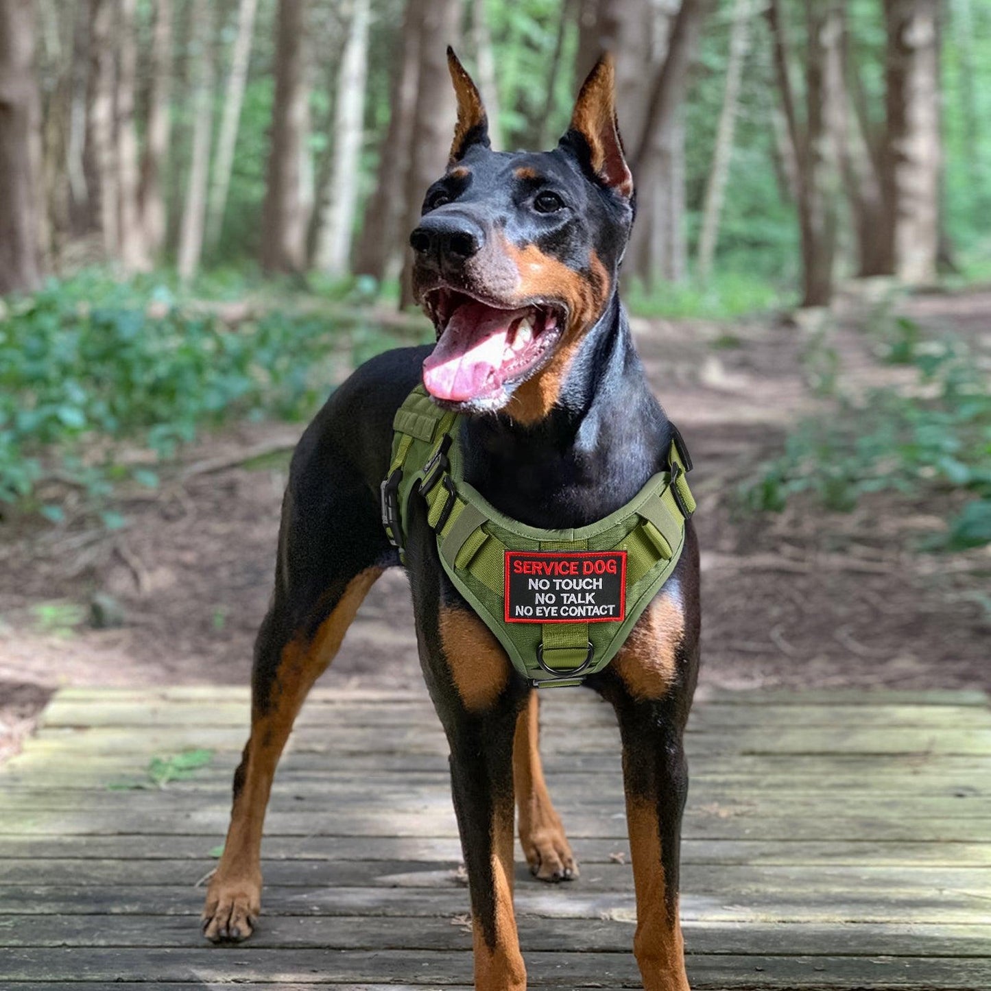 PAWTRENDER Mega Tactical Dog Harness