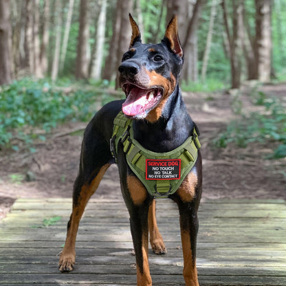 PAWTRENDER Mega Tactical Dog Harness