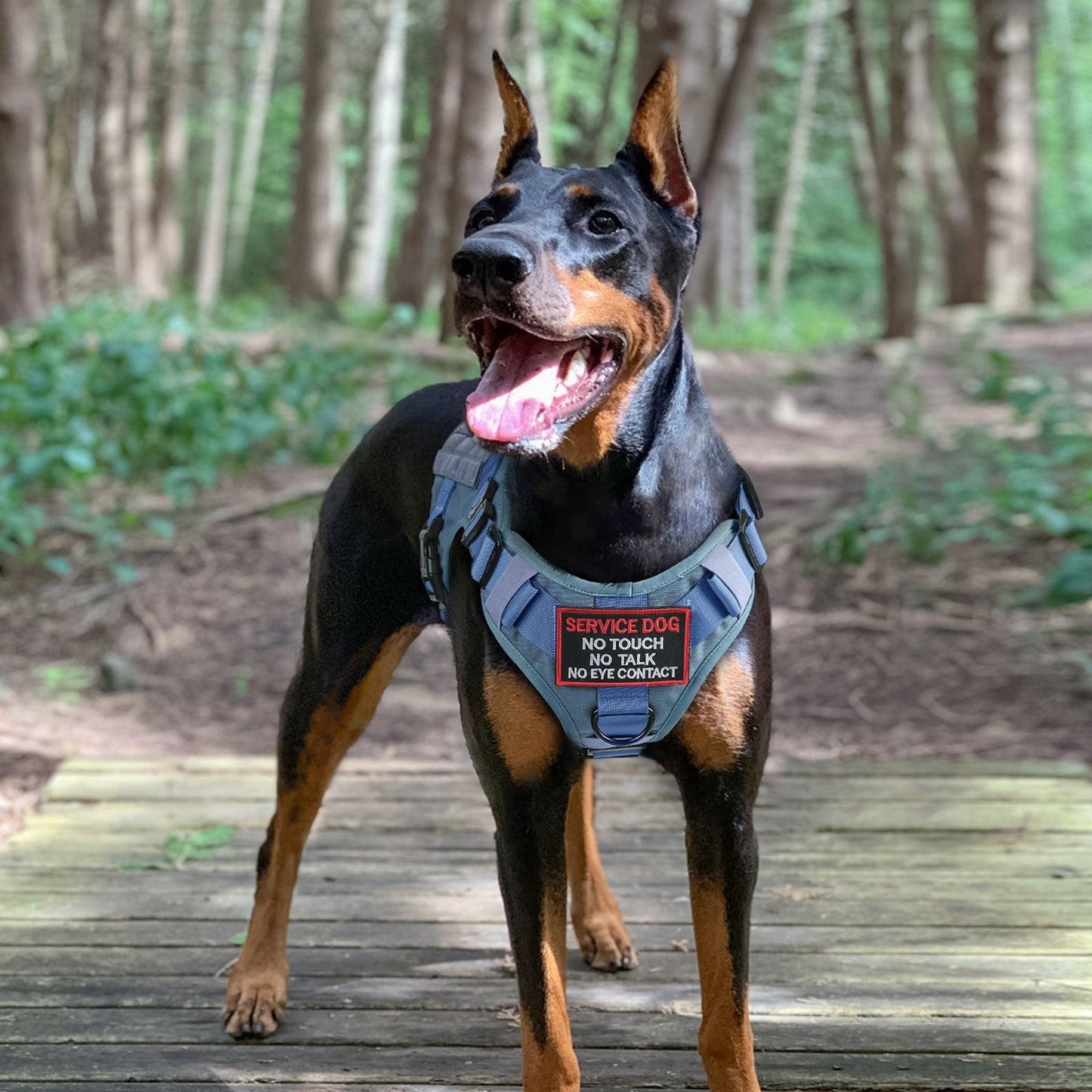 PAWTRENDER Mega Tactical Dog Harness