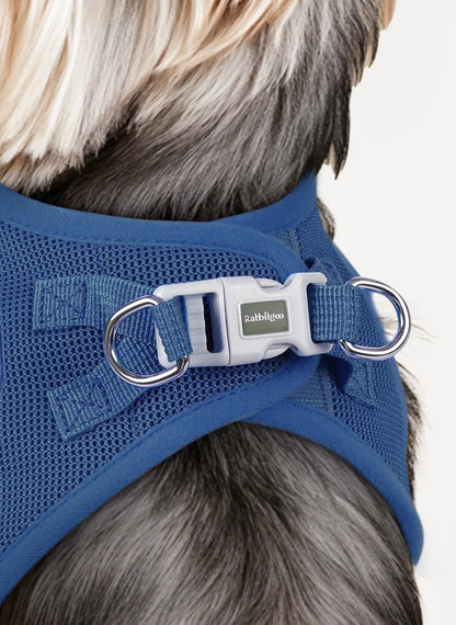 Minifit Small Dog Harness and Leash Set