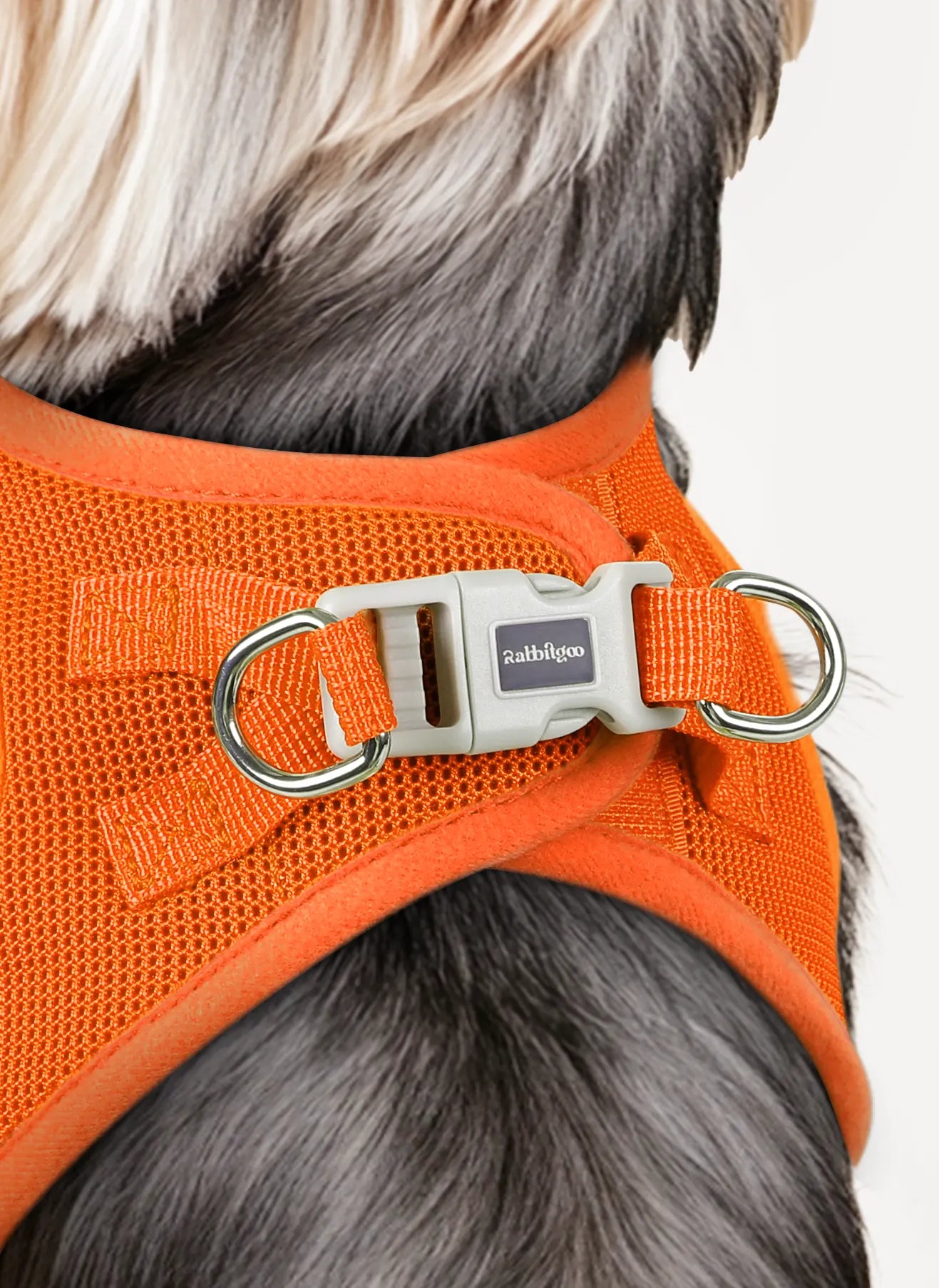 Minifit Small Step-in Dog Harness