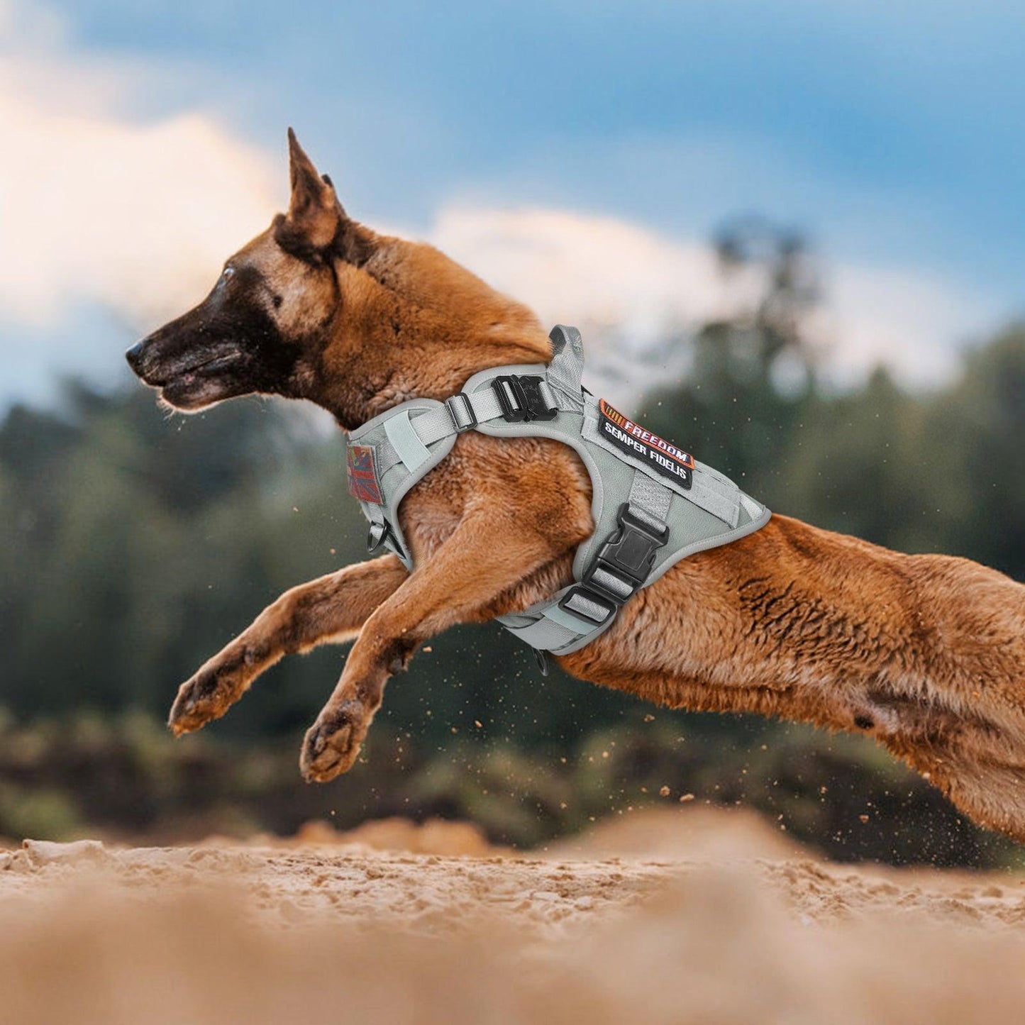 PAWTRENDER Mega Tactical Dog Harness