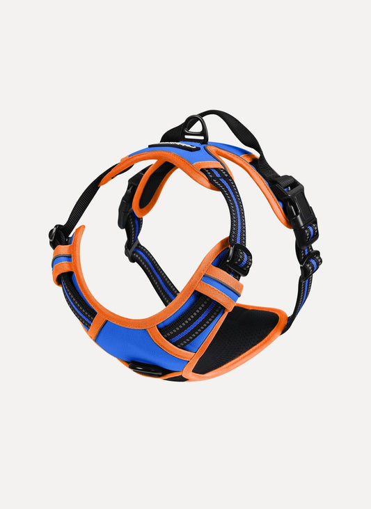 ColorPop Fit No Pull Dog Harness