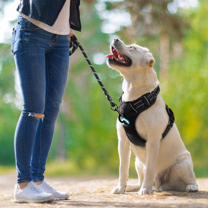 No Pull Dog Harness and Leash Set