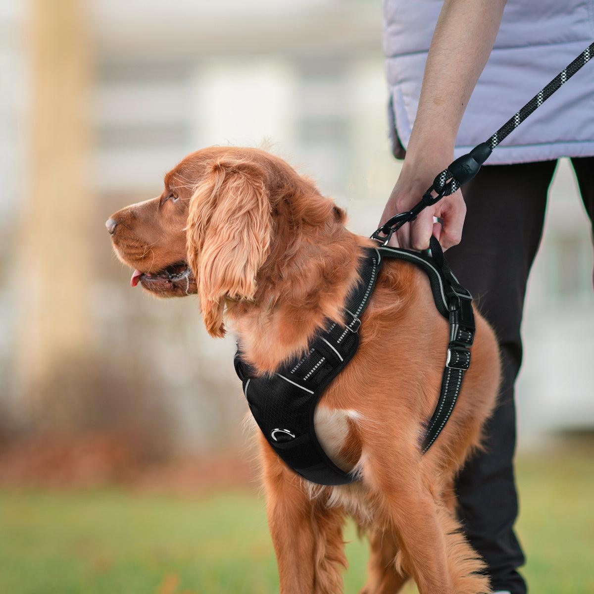 No Pull Dog Harness and Leash Set