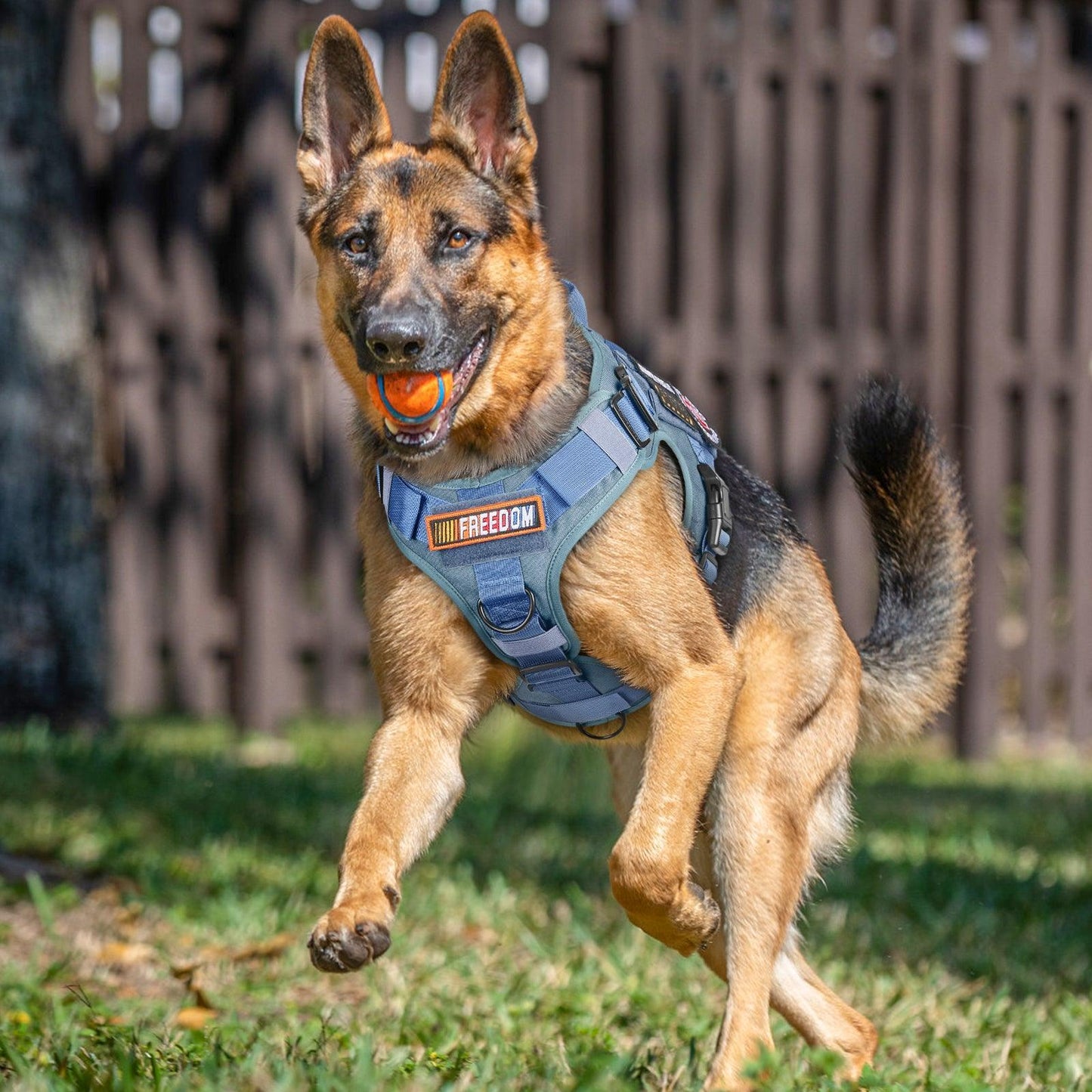 PAWTRENDER Mega Tactical Dog Harness