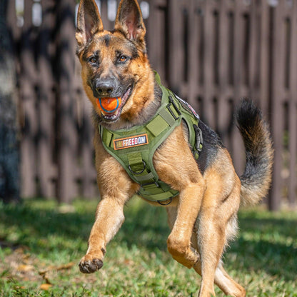 PAWTRENDER Mega Tactical Dog Harness