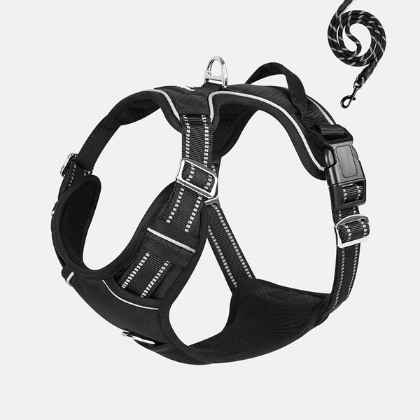 No Pull Dog Harness and Leash Set